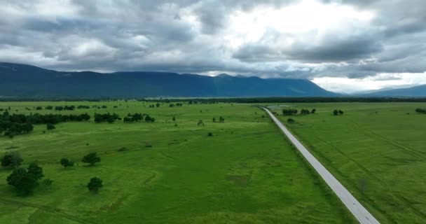夏の曇りの日の間に美しい牧草地の自然界の空の田舎道の空中ショット — ストック動画