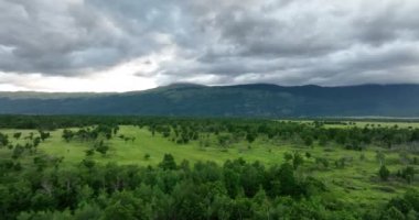 Yaz bulutlu bir günde güzel bir çayır doğasında boş bir kır yolunun hava görüntüsü.. 