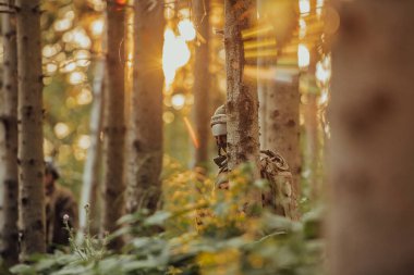 Bir grup modern savaş askeri tehlikeli uzak orman bölgelerinde savaşıyor. Bir grup asker modern silahlarla düşman hattında savaşıyor. Savaş ve askerlik kavramı.