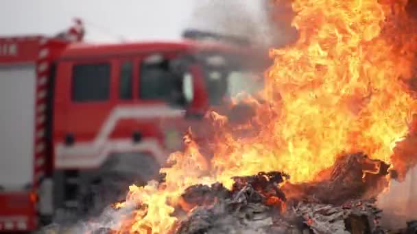 Retrato Bombero Heroico Con Traje Protector Bombero Operación Extinción Incendios — Vídeos de Stock