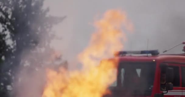 車の事故で火災の炎と戦うために消火器を使用して消防士 夜間の消防産業と公共の安全の概念救助 高品質の写真 — ストック動画