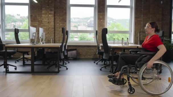 Moderní Mladá Podnikatelka Invalidním Vozíku Obklopena Inkluzivním Pracovištěm Kancelářemi Skleněnými — Stock video