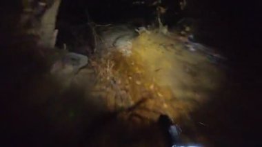 Bir grup arkadaş kış gecesi kaygan bir patikada yokuş aşağı dağ bisikleti sürerken birinci şahıs bakış açısıyla POV göğüs sabit video montajı taze karla birlikte..