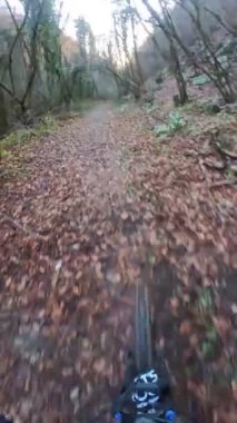 Bir grup arkadaş Yokuş aşağı Dağ bisikleti sürerken Son sürat bir orman yolunda Manzaralı sonbahar doğa manzarası birinci şahıs perspektifinden göğüs at
