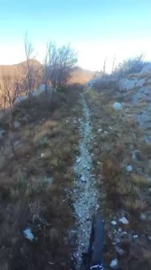 Bir grup arkadaş Yokuş aşağı Dağ bisikleti sürerken Son sürat bir orman yolunda Manzaralı sonbahar doğa manzarası birinci şahıs perspektifinden göğüs at