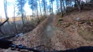 Bir grup arkadaş Yokuş aşağı Dağ bisikleti sürerken Son sürat bir orman yolunda Manzaralı sonbahar doğa manzarası birinci şahıs perspektifinden göğüs at