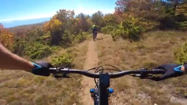 Baráti Társaság Speed Riding Mountain Bike Downhill Ride Rocky Path — Stock videók
