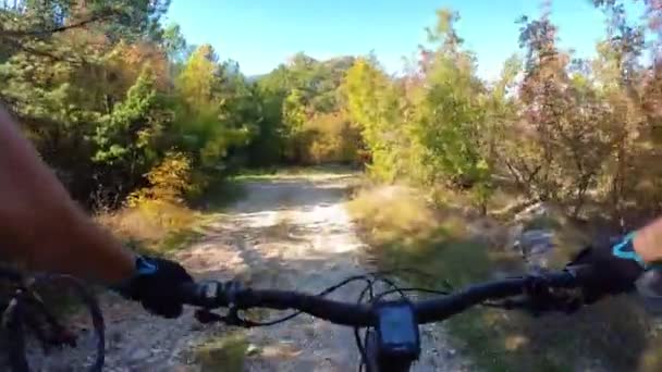 Groupe Amis Speed Riding Mountain Bike Descente Sur Sentier Rocheux — Video