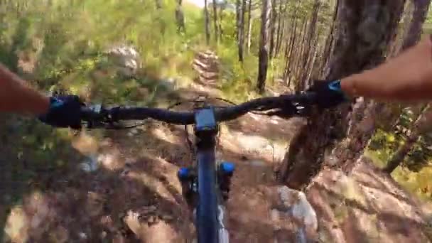 Baráti Társaság Speed Riding Mountain Bike Downhill Ride Rocky Path — Stock videók