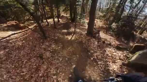 Bir Grup Arkadaş Yokuş Aşağı Dağ Bisikleti Sürerken Son Sürat — Stok video