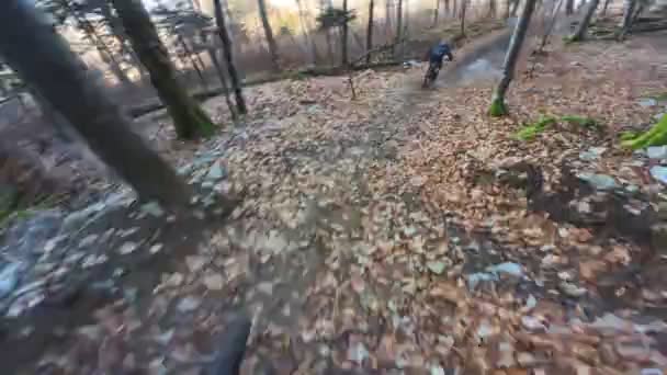 Grupp Vänner Extreme Speed Ridning Mountainbike Downhill Rida Skogsstig Med — Stockvideo