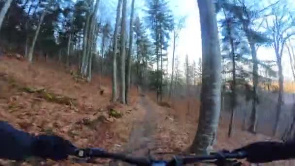 Baráti Társaság Extrém Speed Lovaglás Mountain Bike Downhill Ride Forest — Stock videók
