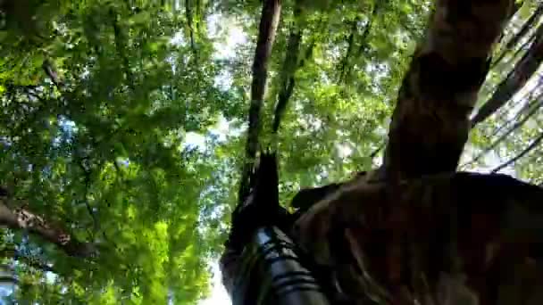 Kamera Wannie Bronią Wojskowy Snajper Hełmie Atakuje Atakuje Wroga Lesie — Wideo stockowe