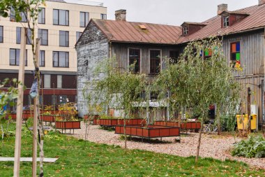 Litvanya 'nın Riga kentindeki güzel bir sonbahar sahnesinde, geleneksel Litvanya evleriyle dolu bir park, Baltık bölgesinin canlı sonbahar yapraklarını ve kültürel mirasını gözler önüne seriyor.. 