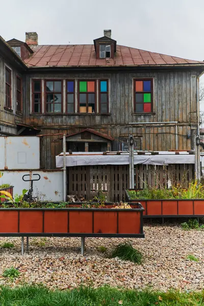 Incantevole Fattoria Lituana Tradizionale Giardino Domestico Fiorisce Con Vivaci Fiori — Foto Stock