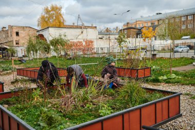 Modern bir aile babası ve çocuklar, gelecek tatil sezonuna hazırlanmak için bahçelerini çiçeklerle süslemek için birlikte çalışıyorlar.