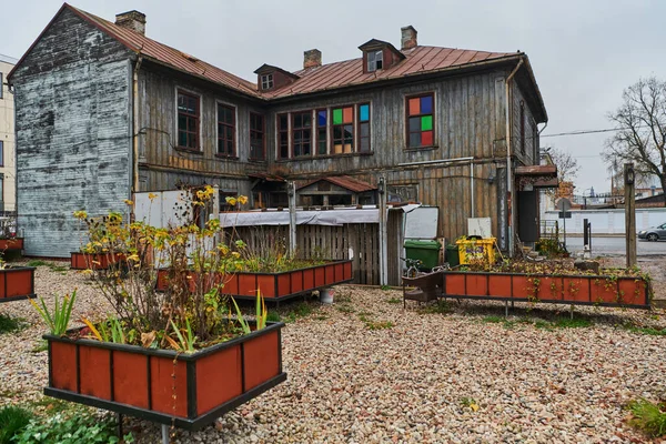 Incantevole Fattoria Lituana Tradizionale Giardino Domestico Fiorisce Con Vivaci Fiori — Foto Stock