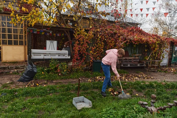 Man Diligently Maintains Garden Collecting Old Dry Leaves Creating Picturesque — Stock Photo, Image