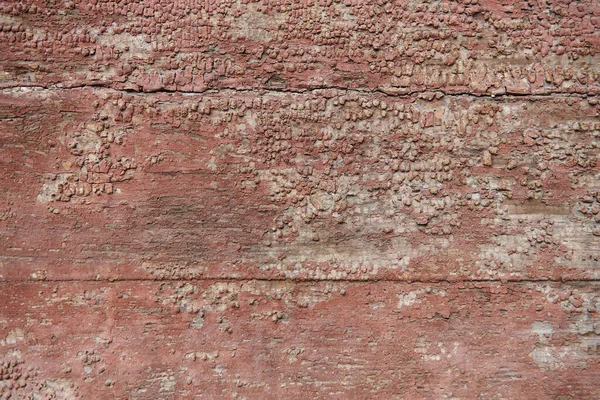 Litauen Schmückt Der Rustikale Charme Einer Verwitterten Hölzernen Wand Ein — Stockfoto