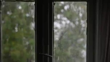 Cama su damlacıkları, Yağmur Yağmuru, Git. Büyük yağmur damlaları yaz yağmuru sırasında pencere camına çarpar. 4 bin. Yüksek kaliteli FullHD görüntüler