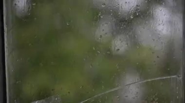 Cama su damlacıkları, Yağmur Yağmuru, Git. Büyük yağmur damlaları yaz yağmuru sırasında pencere camına çarpar. 4 bin. Yüksek kaliteli FullHD görüntüler