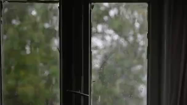 Närbild Vattendroppar Glas Regnregn Iväg Stora Regndroppar Träffar Fönsterruta Sommardusch — Stockvideo