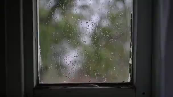 Großaufnahme Von Wassertropfen Auf Glas Regen Weggehen Bei Einem Sommerschauer — Stockvideo
