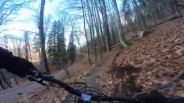 Bir grup arkadaş Yokuş aşağı Dağ bisikleti sürerken Son sürat bir orman yolunda Manzaralı sonbahar doğa manzarası birinci şahıs perspektifinden göğüs at