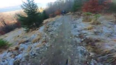 Bir grup arkadaş Yokuş aşağı Dağ bisikleti sürerken Son sürat bir orman yolunda Manzaralı sonbahar doğa manzarası birinci şahıs perspektifinden göğüs at