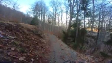 Bir grup arkadaş Yokuş aşağı Dağ bisikleti sürerken Son sürat bir orman yolunda Manzaralı sonbahar doğa manzarası birinci şahıs perspektifinden göğüs at