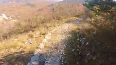 Bir grup arkadaş Yokuş aşağı Dağ bisikleti sürerken Son sürat bir orman yolunda Manzaralı sonbahar doğa manzarası birinci şahıs perspektifinden göğüs at