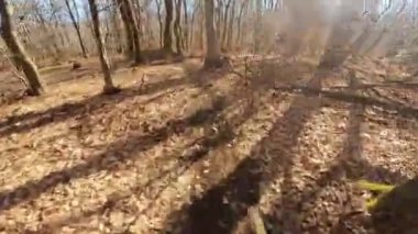 Bir grup arkadaş Yokuş aşağı Dağ bisikleti sürerken Son sürat bir orman yolunda Manzaralı sonbahar doğa manzarası birinci şahıs perspektifinden göğüs at