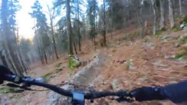 Bir grup arkadaş Yokuş aşağı Dağ bisikleti sürerken Son sürat bir orman yolunda Manzaralı sonbahar doğa manzarası birinci şahıs perspektifinden göğüs at