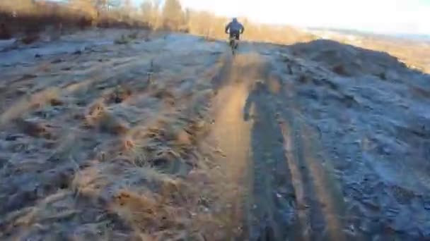 Gruppo Amici Extreme Speed Equitazione Mountain Bike Discesa Sentiero Forestale — Video Stock