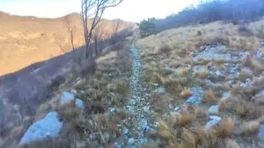 Bir grup arkadaş Yokuş aşağı Dağ bisikleti sürerken Son sürat bir orman yolunda Manzaralı sonbahar doğa manzarası birinci şahıs perspektifinden göğüs at