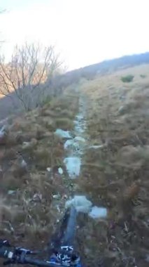 Bir grup arkadaş Yokuş aşağı Dağ bisikleti sürerken Son sürat bir orman yolunda Manzaralı sonbahar doğa manzarası birinci şahıs perspektifinden göğüs at