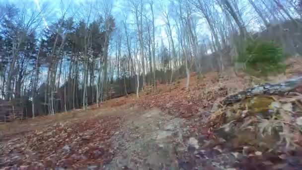 Groupe Amis Extreme Speed Équitation Vtt Descente Sur Sentier Forestier — Video