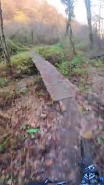 Bir grup arkadaş Yokuş aşağı Dağ bisikleti sürerken Son sürat bir orman yolunda Manzaralı sonbahar doğa manzarası birinci şahıs perspektifinden göğüs at