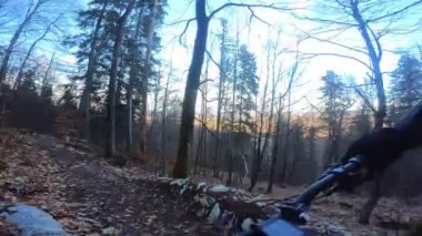 Bir grup arkadaş Yokuş aşağı Dağ bisikleti sürerken Son sürat bir orman yolunda Manzaralı sonbahar doğa manzarası birinci şahıs perspektifinden göğüs at