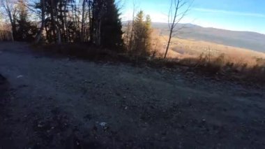 Bir grup arkadaş Yokuş aşağı Dağ bisikleti sürerken Son sürat bir orman yolunda Manzaralı sonbahar doğa manzarası birinci şahıs perspektifinden göğüs at