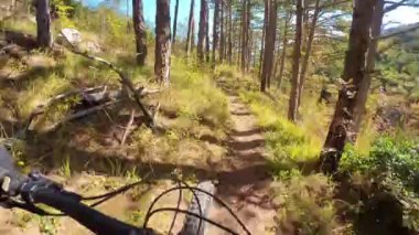 Bir grup arkadaş kayalık bir yolda dağ bisikleti sürerken birinci şahıs bakış açısıyla POV 360 derece sabit göğüs videosu izleyerek kayalık bir yolda hız yapıyorlar..