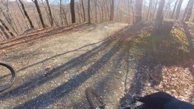 Bir grup arkadaş Yokuş aşağı Dağ bisikleti sürerken Son sürat bir orman yolunda Manzaralı sonbahar doğa manzarası birinci şahıs perspektifinden göğüs at