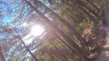 Bir grup arkadaş kayalık bir yolda dağ bisikleti sürerken birinci şahıs bakış açısıyla POV 360 derece sabit göğüs videosu izleyerek kayalık bir yolda hız yapıyorlar..