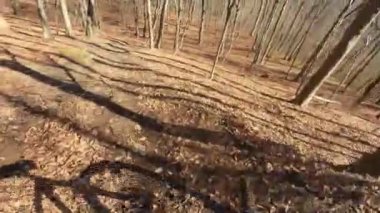 Bir grup arkadaş Yokuş aşağı Dağ bisikleti sürerken Son sürat bir orman yolunda Manzaralı sonbahar doğa manzarası birinci şahıs perspektifinden göğüs at