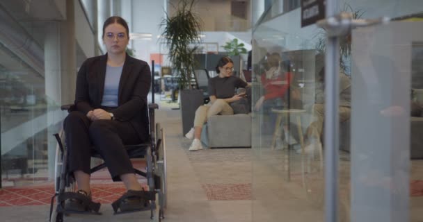 Una Mujer Negocios Silla Ruedas Una Empresa Moderna Con Sus — Vídeos de Stock