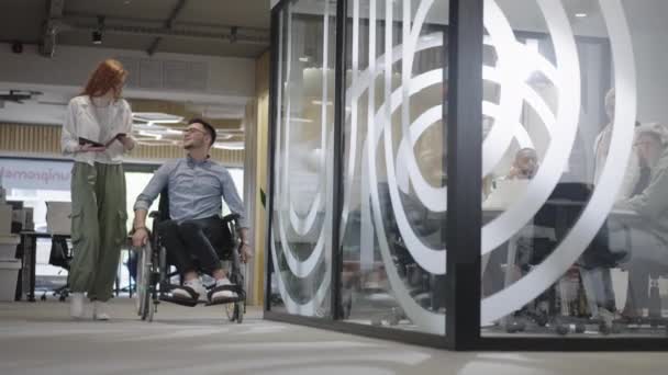 若いビジネス同僚 車椅子の人を含む共同ビジネス同僚 近代的なガラスオフィスの廊下を歩く 多様性を示しています チームワークとエンパワーメント — ストック動画