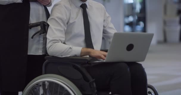 坐在轮椅上沉思的导演在现代化办公室的笔记本电脑上工作 体现了决心 专业精神以及企业环境的包容性和随和性 — 图库视频影像