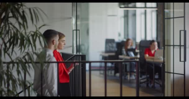 Due Giovani Colleghi Lavoro Che Attraversano Moderno Ufficio Startup Impegnano — Video Stock