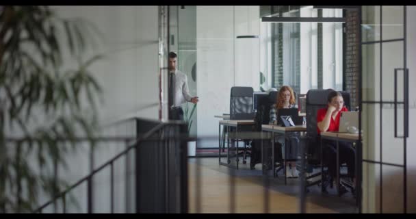Two Young Business Colleagues Walking Modern Startup Office Engaging Dynamic — Stock Video
