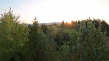 FPV insansız hava aracı videosu, yukarıdan görüntü, yüksek hızda uçan bir FPV İHA 'dan hava görüntüsü ve güzel bir günbatımında aydınlatılmış yeşil orman.. 